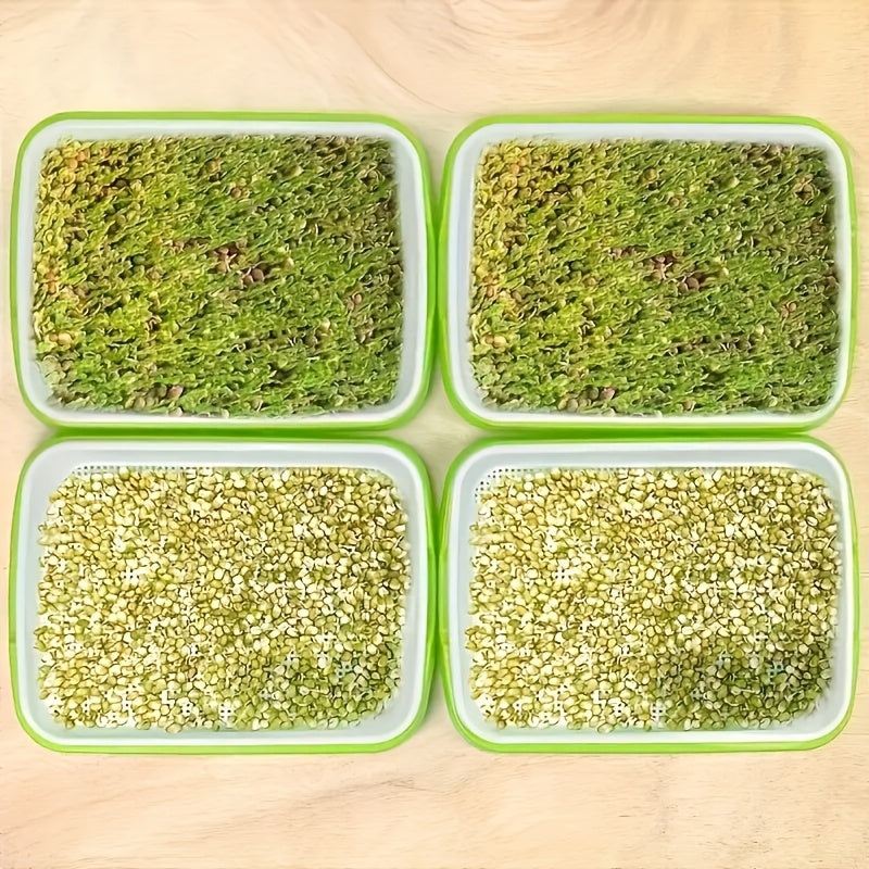 Seed Germination Tray Large Capacity Micro-Green Seedling Kit Soilless for Beans Wheat Grass