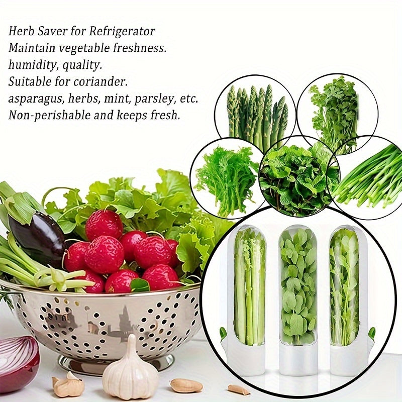 Vegetables Preservation Pods Set for Herbs and Vegetables Keep Fresh in Refrigerator