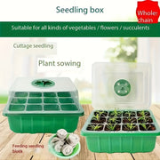 5-Piece Plastic Germination Tray Set with Adjustable Vents for Vegetables Flowers Succulents Reusable Breathable
