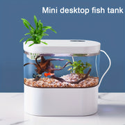 Oval LED Fish Tank with Smart Clean Technology and USB Rechargeable