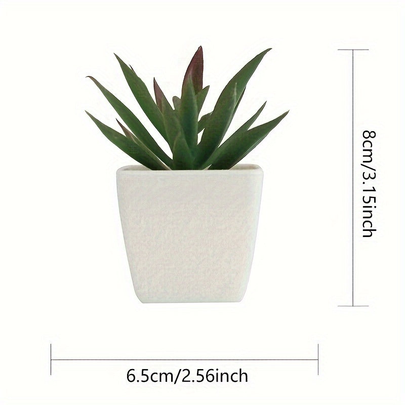 Mini Realistic Succulent Plant Indoor Houseplant for All Decor Styles