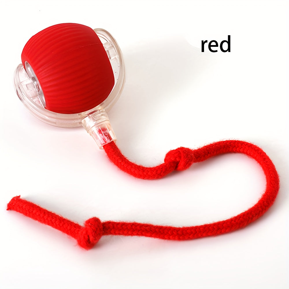 Interactive Cat Toy with Silicone Ball and USB Rechargeable Battery for Small Indoor Cats