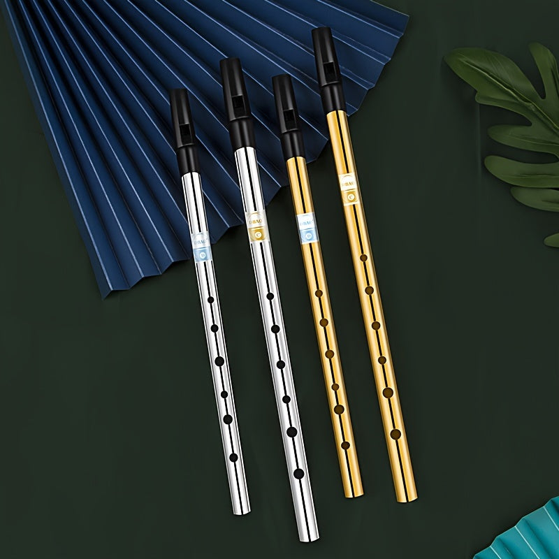 Alüminiy irlandiyalik ohang cho‘qqisi, C/D kalitida, 6 teshik va quti bilan