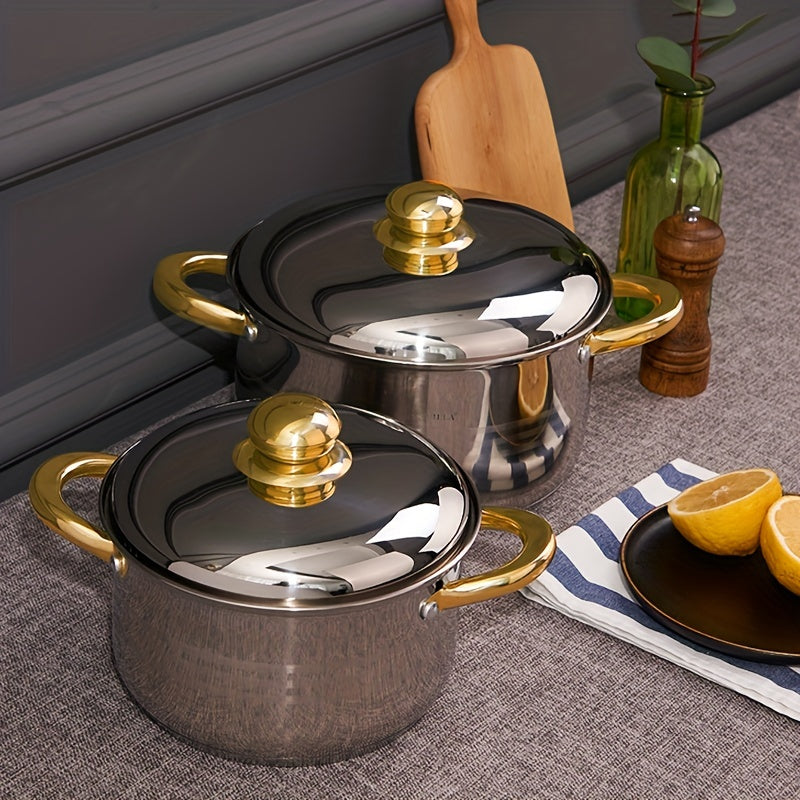 Yuqori sifatli zanglamas po'latdan yasalgan sho'rva qozoni - 5-qavatli pastki va ko'zgu qoplamasi bilan, induktsion pechlar uchun mos, qaynatmalar, souslar va shirinliklar tayyorlash uchun ideal.