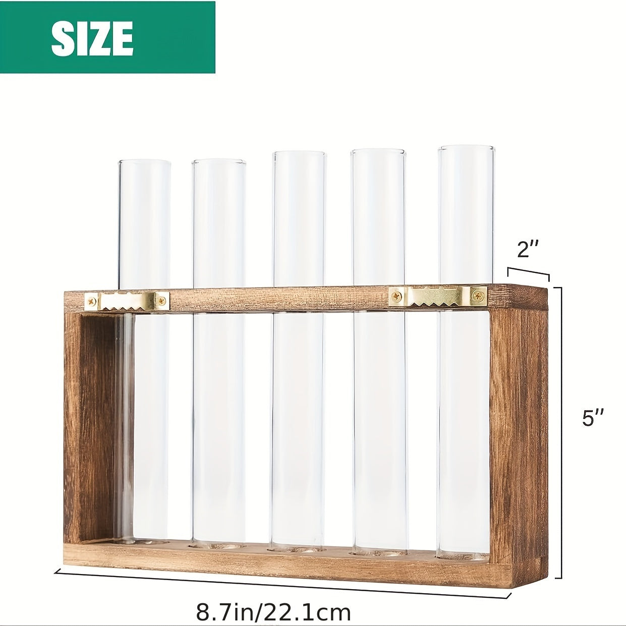 Glass Plant Container with Wooden Stand and Test Tubes for Hydroponic Indoor Gardening