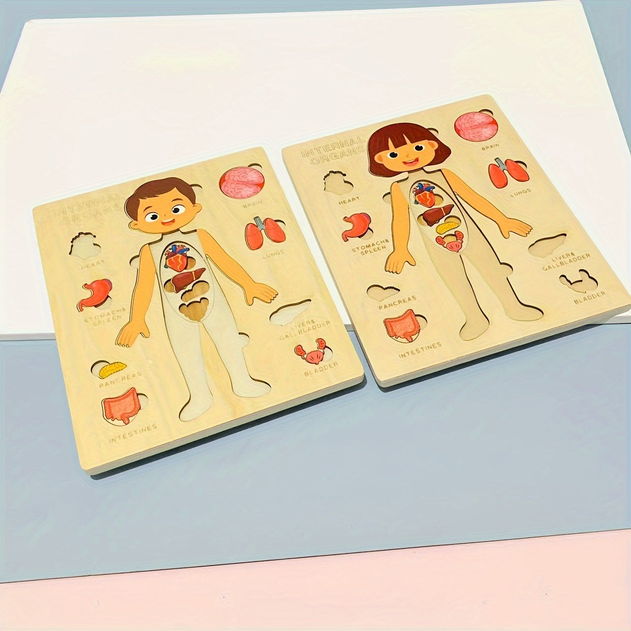 Образование детей через интерактивные деревянные пазлы: содействие обучению, когнитивному развитию, пониманию человеческой анатомии и укреплению связей между родителями и детьми с игрушками для мам и малышей.