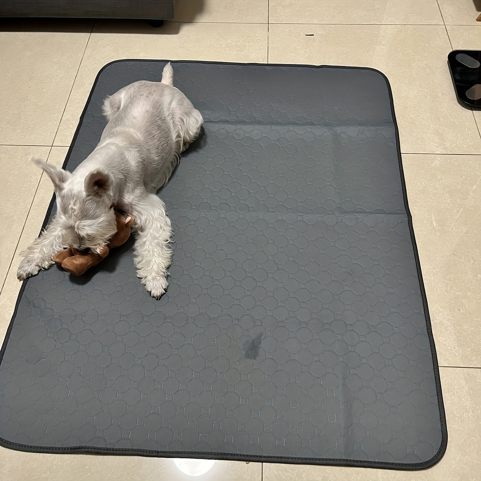 Non-Slip Reusable Pet Training Pad for Dogs and Cats Polyester