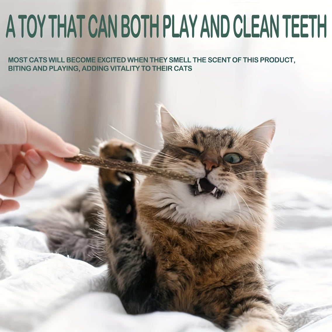 8pcs Natural Wooden Cat Chew Sticks for Teeth Health and Oral Care