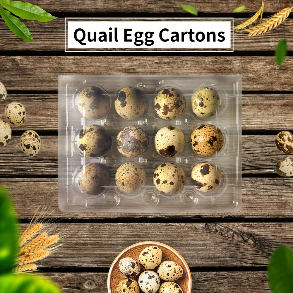 50pcs Quail Egg Cartons 12-Grid Small Egg Storage Holders for Pheasant Pigeon