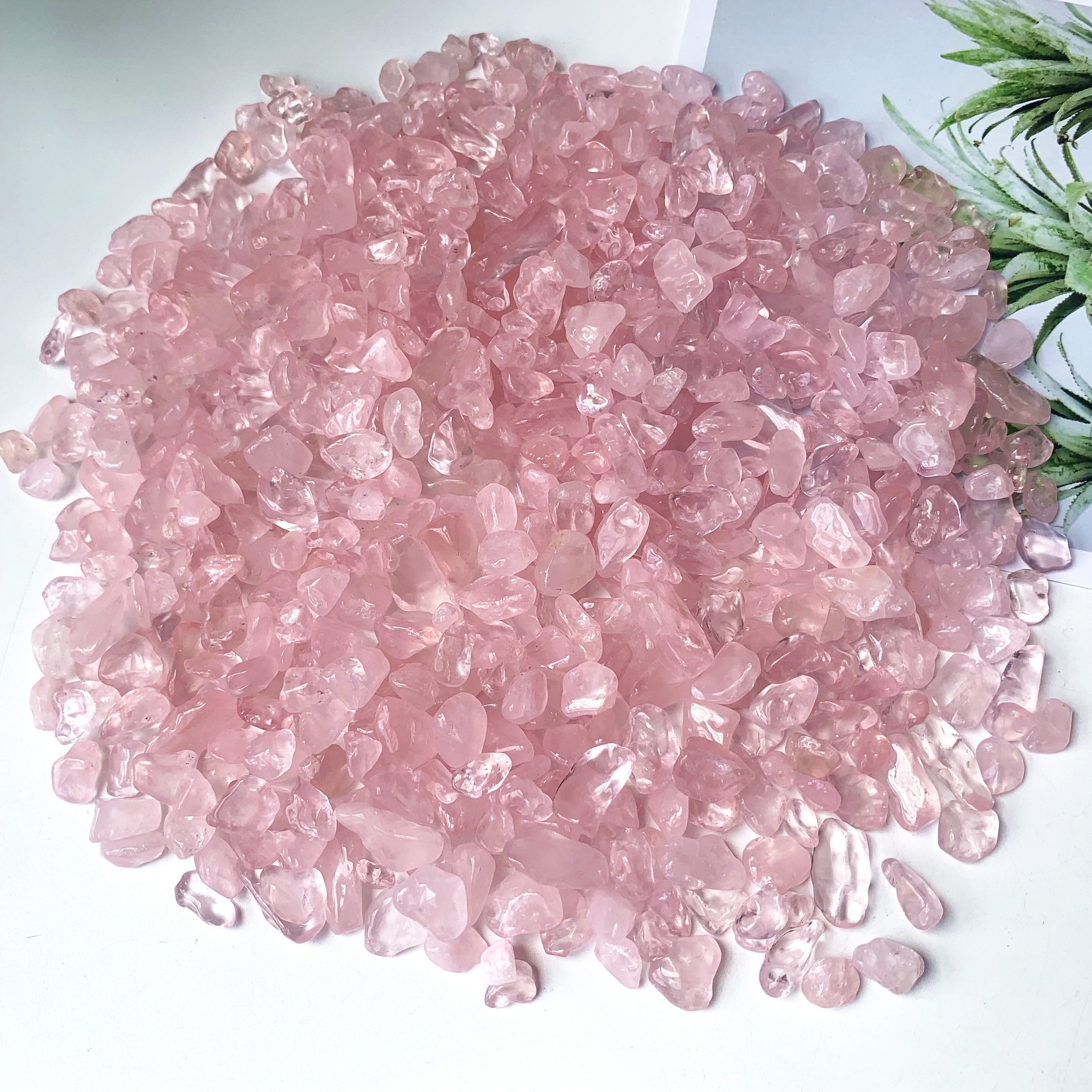 Natural Rose Quartz Chips 50g 100g for Healing and Decoration in Plants and Terrariums