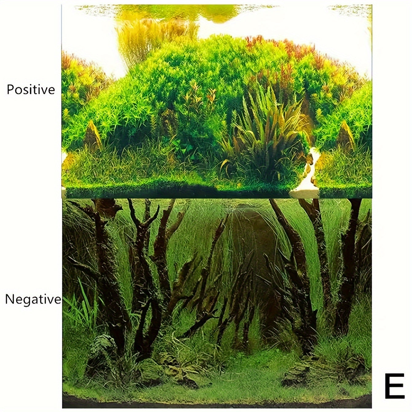 Double-Sided Aquarium Background Paper for Fish Tank Decor Waterproof HD Painting
