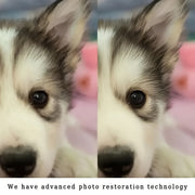 Barcha mavsumlar uchun qaytariladigan raqamli bosma mo'rt polyester plash