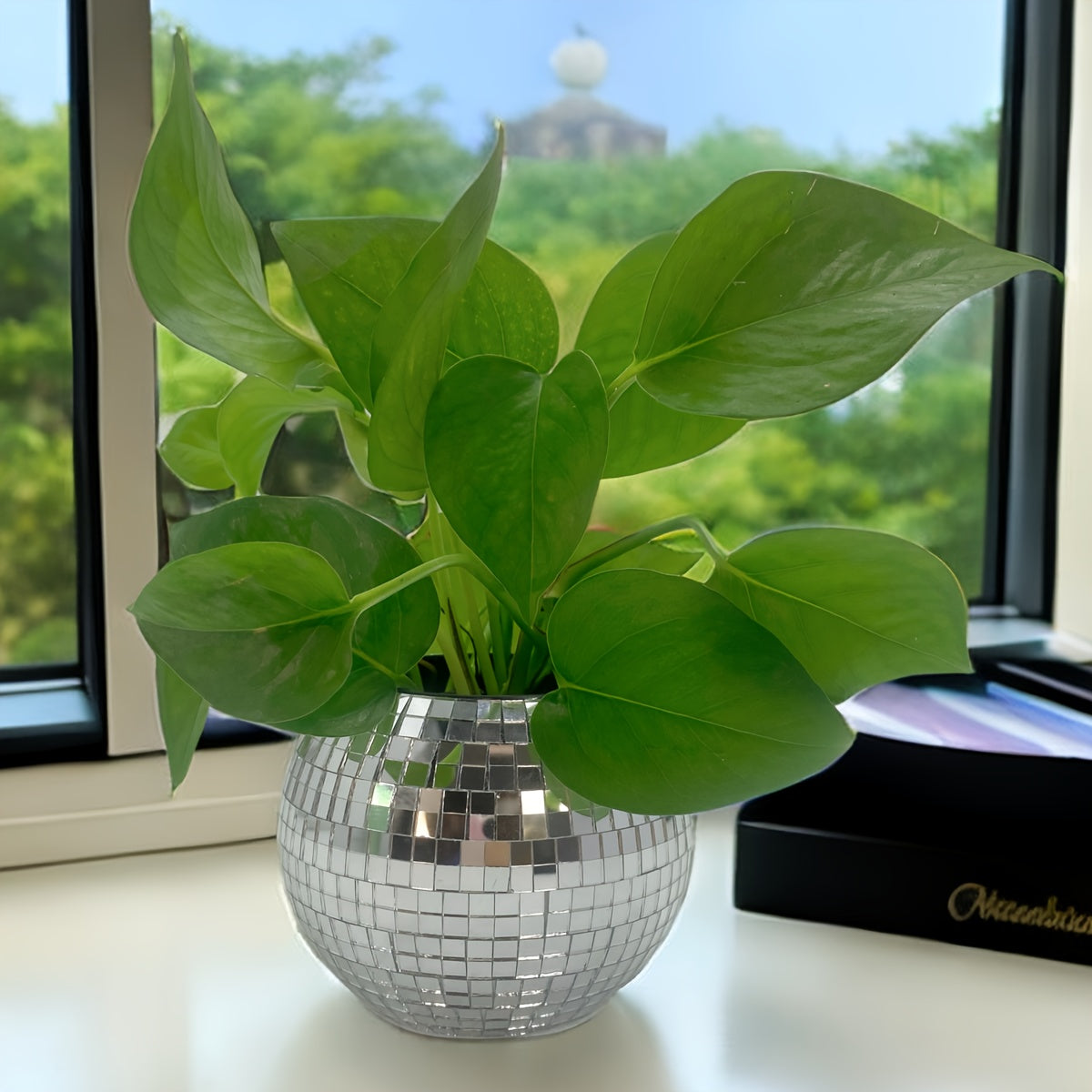 Mini Disco Ball Planter and Desk Organizer for Pens and Makeup Plastic Polished