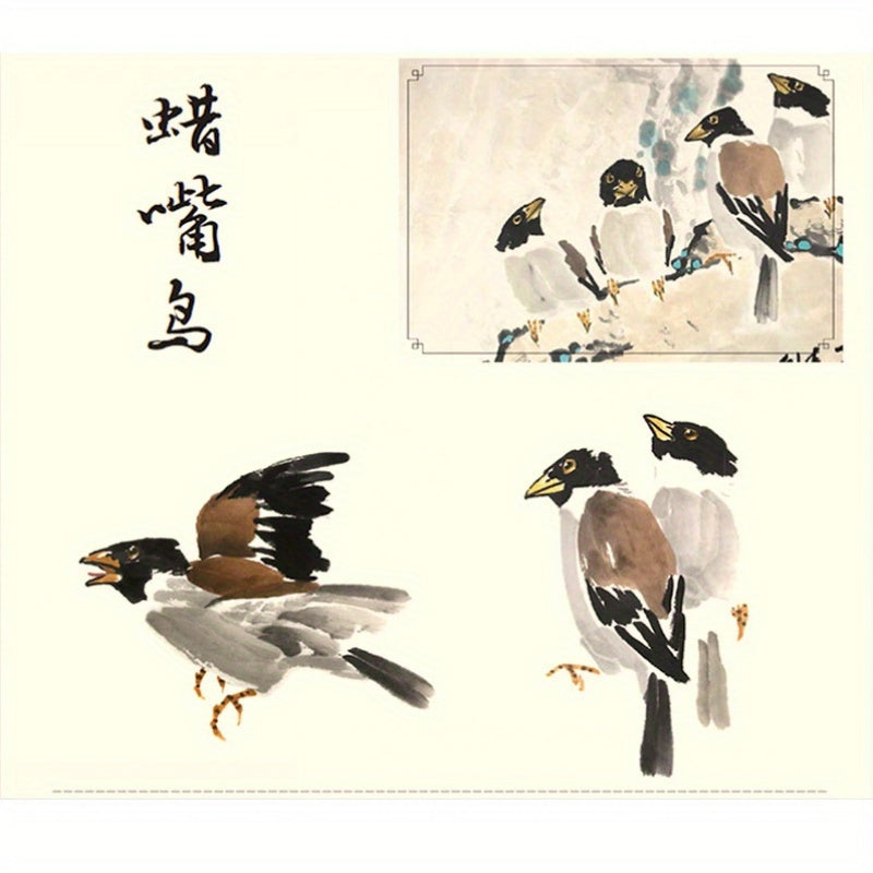 Chinese Painting Techniques Book with 300 Bird Examples Entry-Level Tutorials in Simplified Chinese
