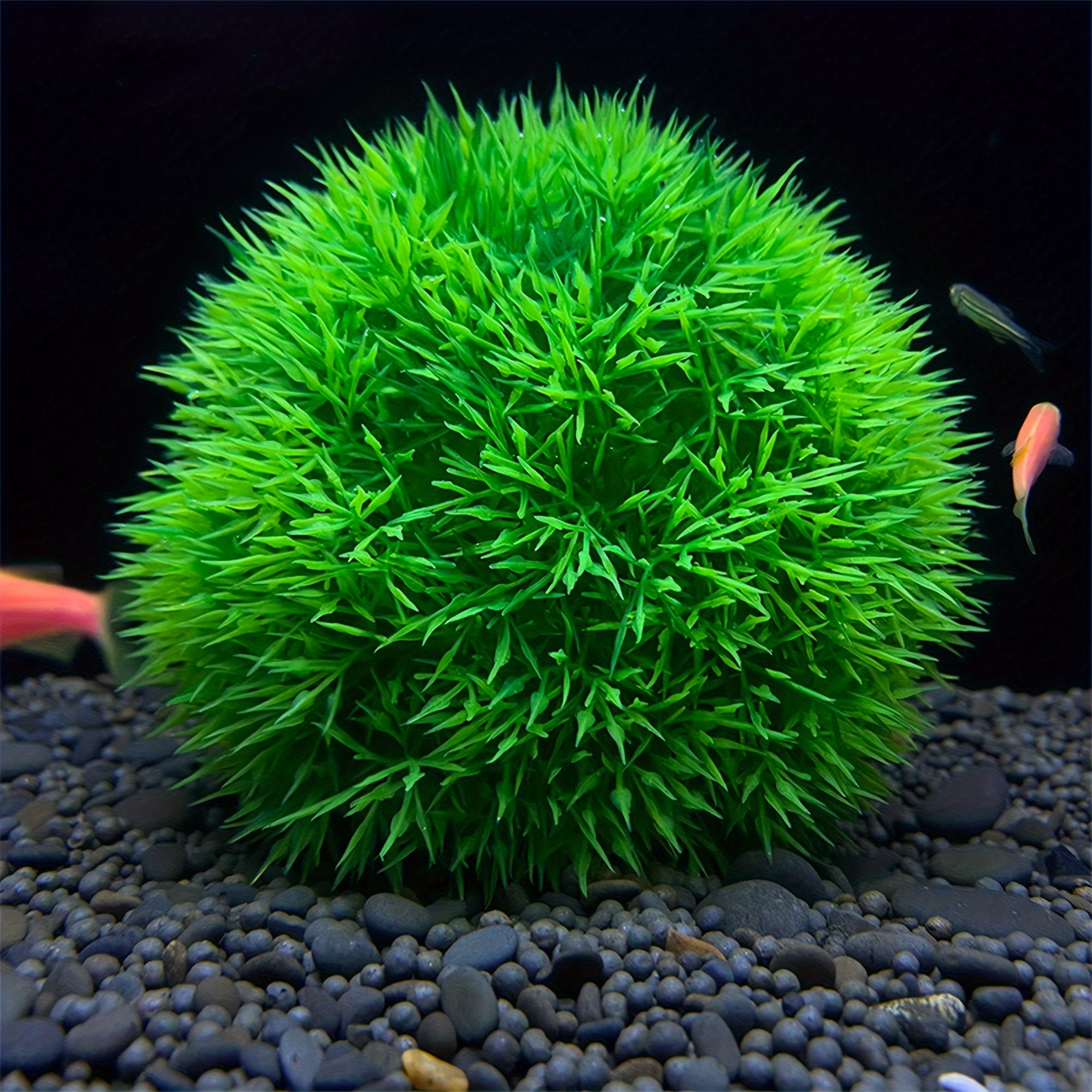 Artificial PVC Alternanthera Grass Ball for Aquarium Decoration