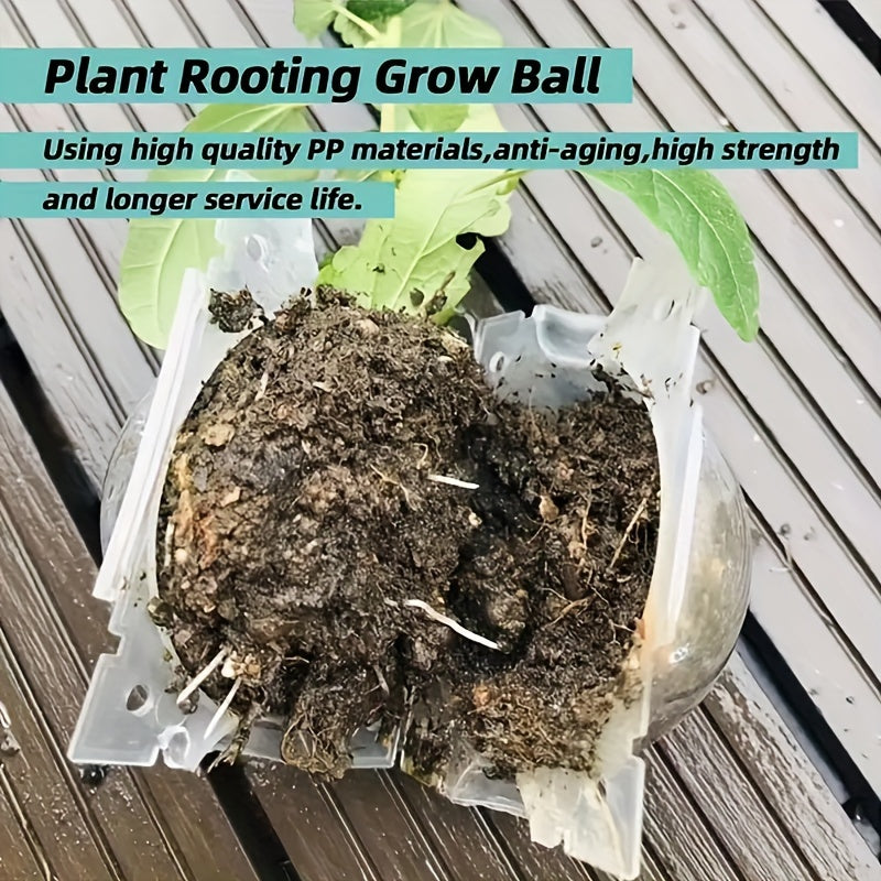 Reusable Plant Root Grow Box 5/20 Pack for Grafting and Propagation