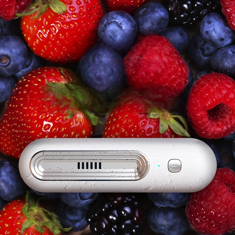 Portable Deodorizer Air Purifier for Refrigerator Closet Pet Areas USB Rechargeable 1200mAh