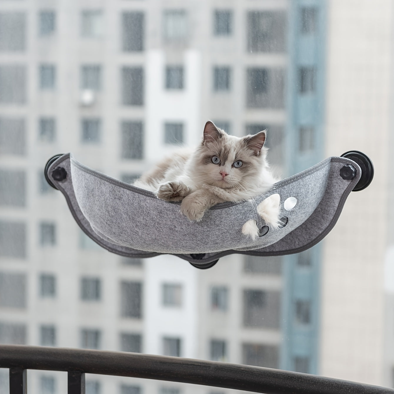 Hamaca para gatos en forma de media luna con ventosa para gatos pequeños y medianos Sunlight Lounge