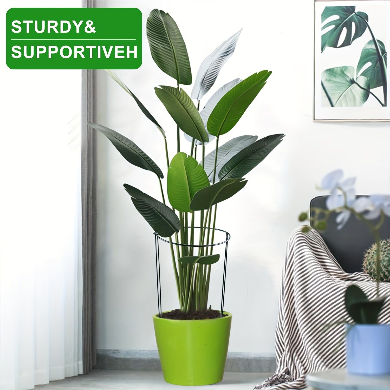 Set of 8 Metal Plant Support Stakes 24 Inches for Indoor Outdoor Peonies Roses Tomatoes