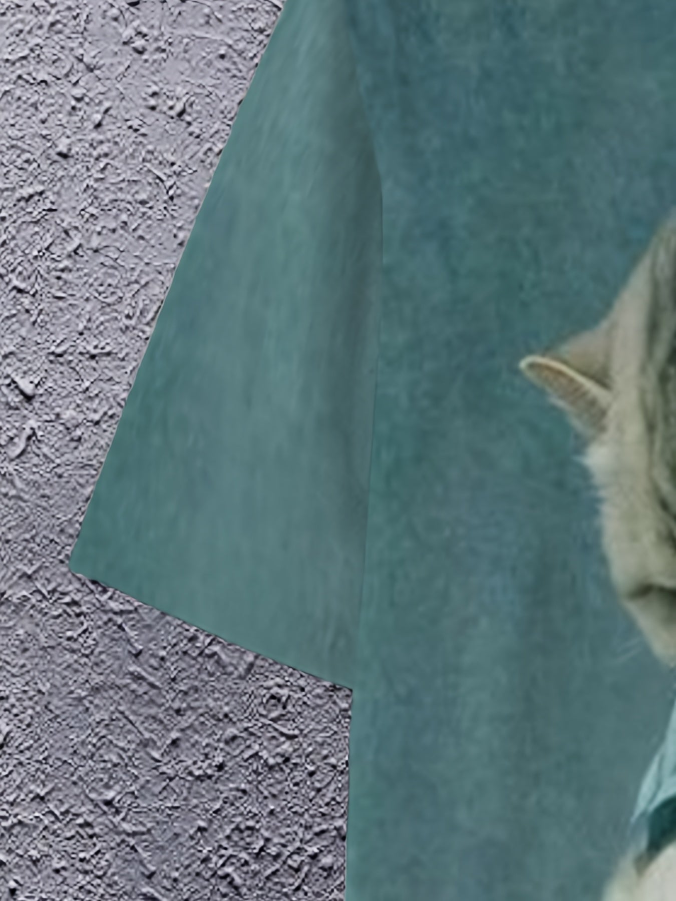 Camiseta de manga corta con cuello redondo y estampado de gato 3D para hombre