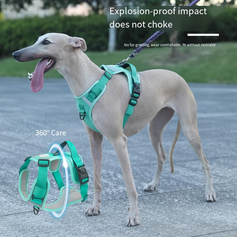 Katta zotlar uchun mustahkam, sozlanadigan taktik it yelkası, oson boshqarish tutqichi va sozlanadigan tasmalari bilan, bir nechta ranglarda mavjud.