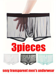 Men's Transparent Mesh Underwear Set 3 Pieces Flat Angle Style Polyester
