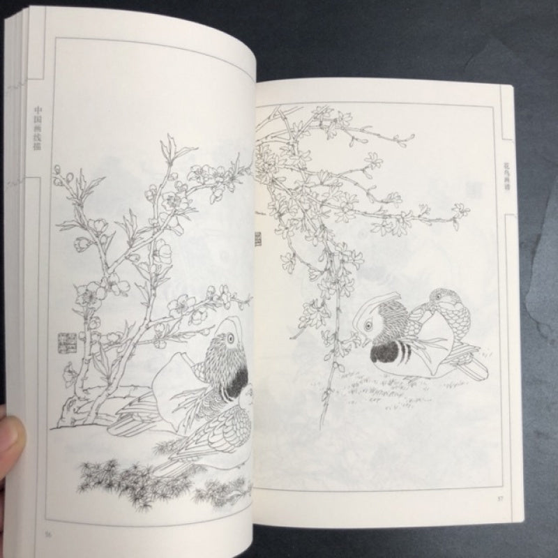 Chinese Flower and Bird Painting Manual with Line Drawings Art Book