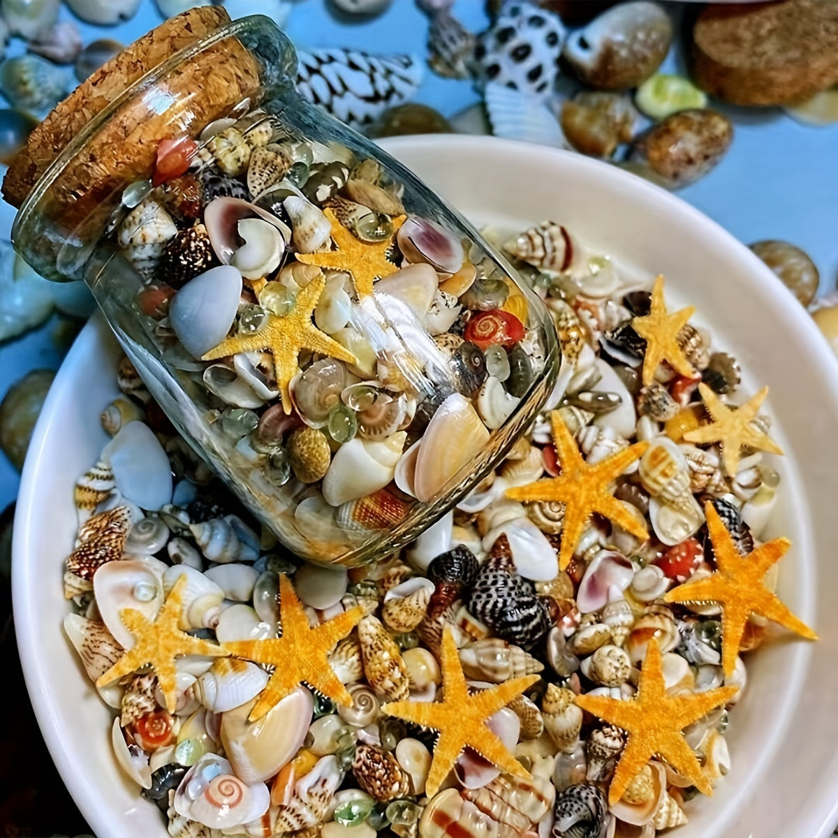 400 ta tabiiy konch shell to'plami, shisha bankada, kichik dengiz shell to'plami