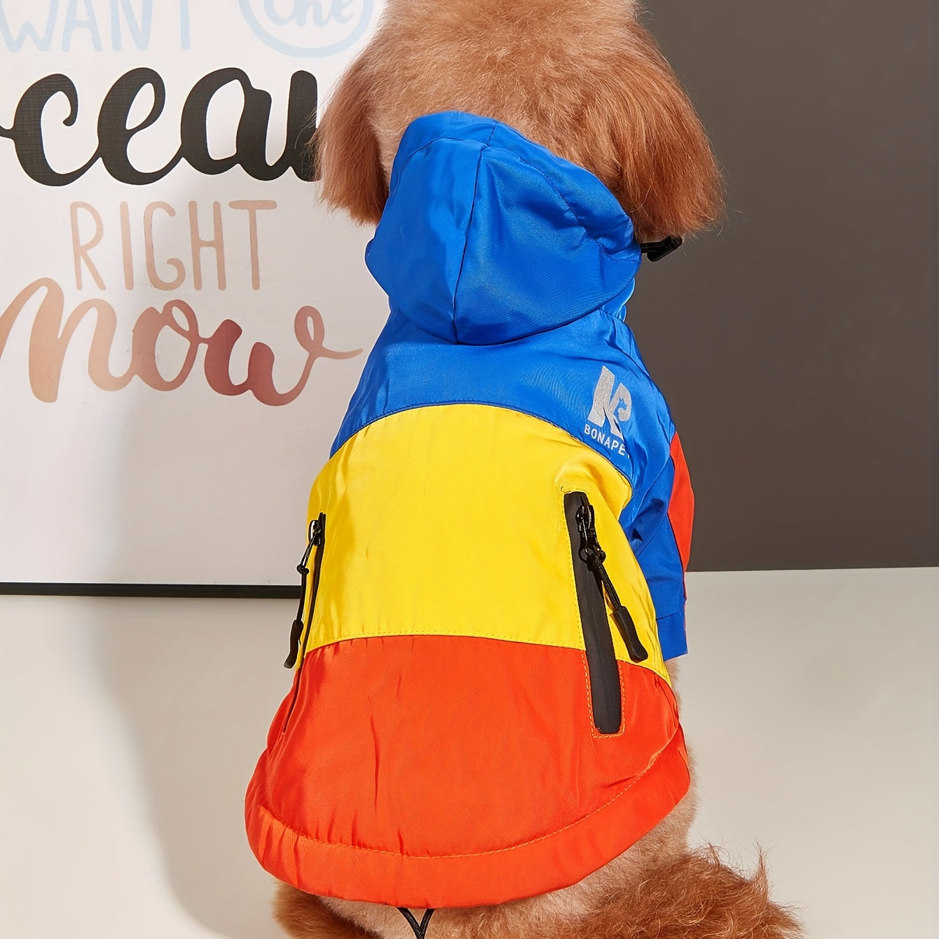 Reflective Winter Pet Jacket Waterproof Color Block Zipper for Medium Large Dogs