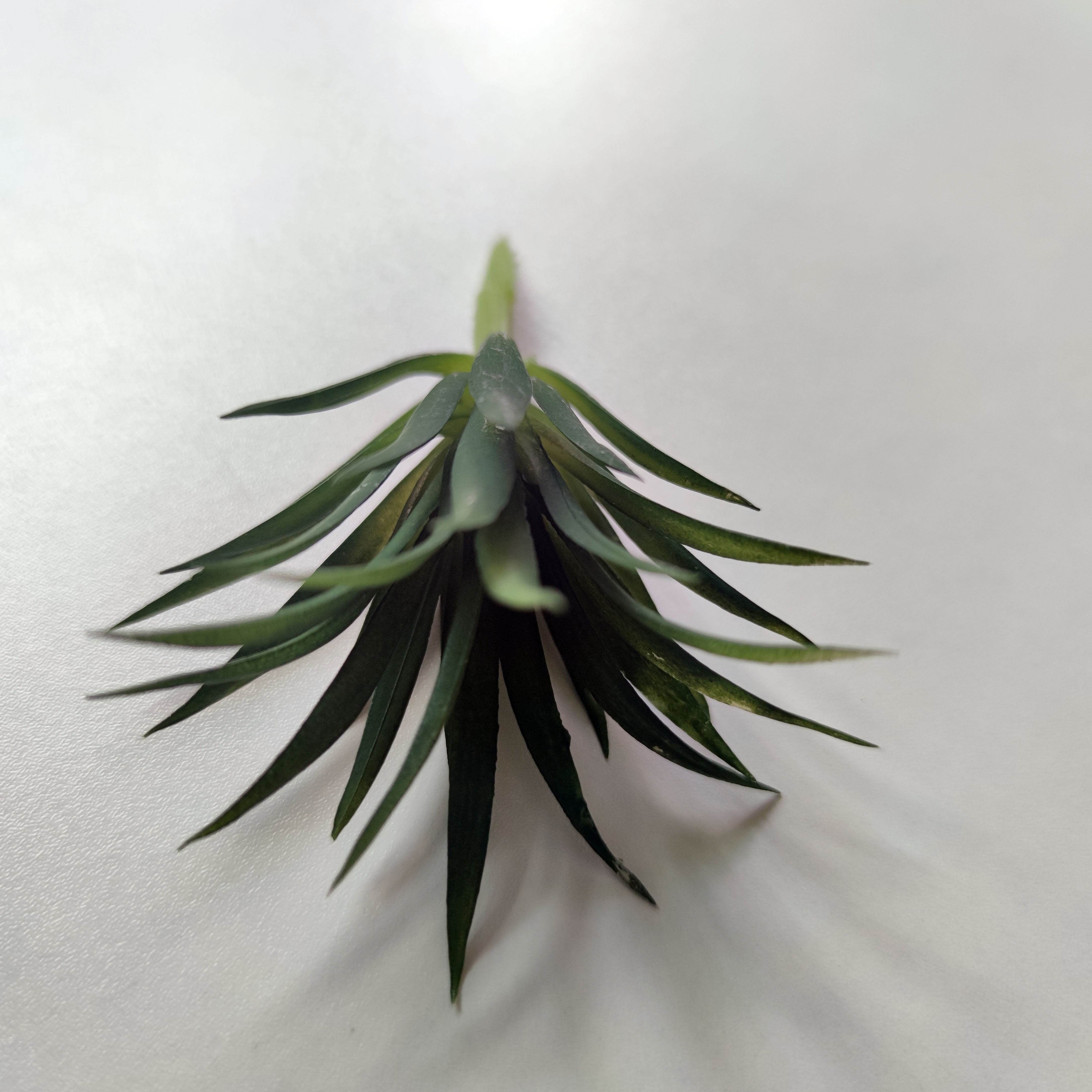 1 шт. Маленькие искусственные суккуленты для домашнего или столового декора.