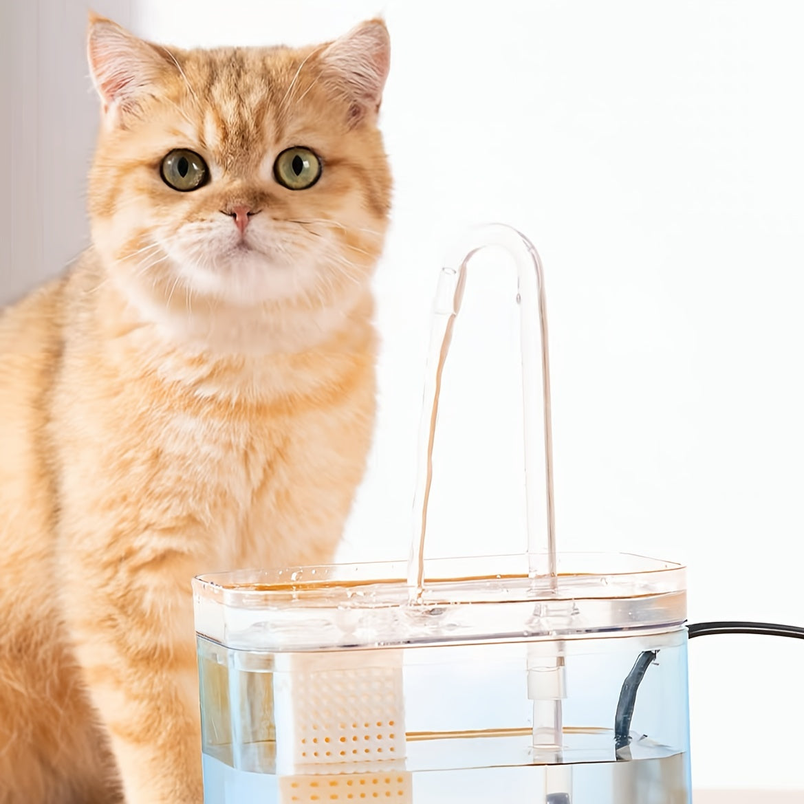 Transparent USB-Powered Pet Water Fountain for Indoor Cats and Dogs