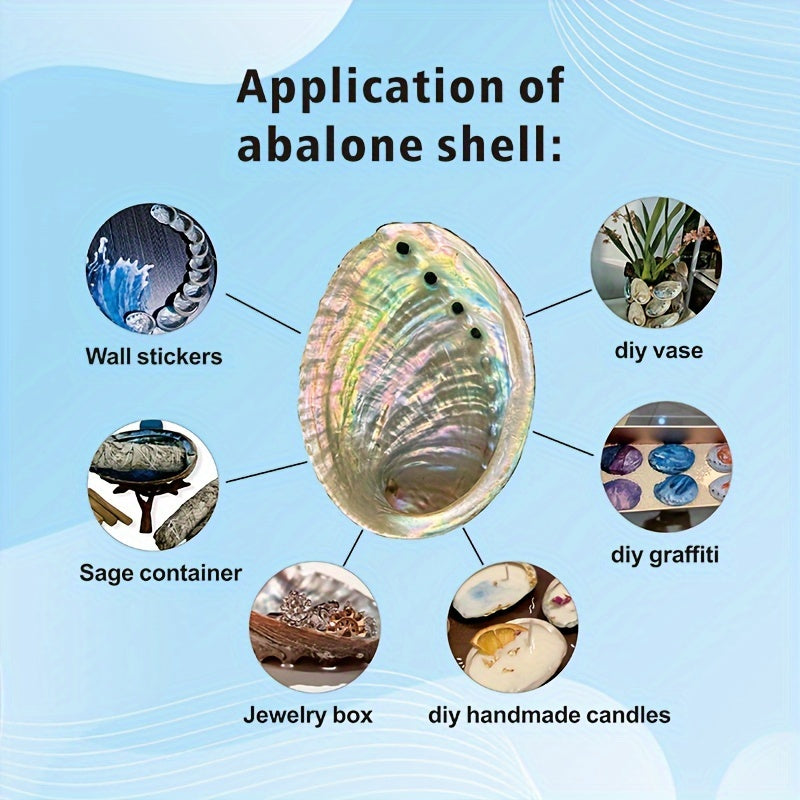 Large Abalone Seashells for Smudging Incense Burning Home Decor Pack of 1 or 2 10.16-12.7cm