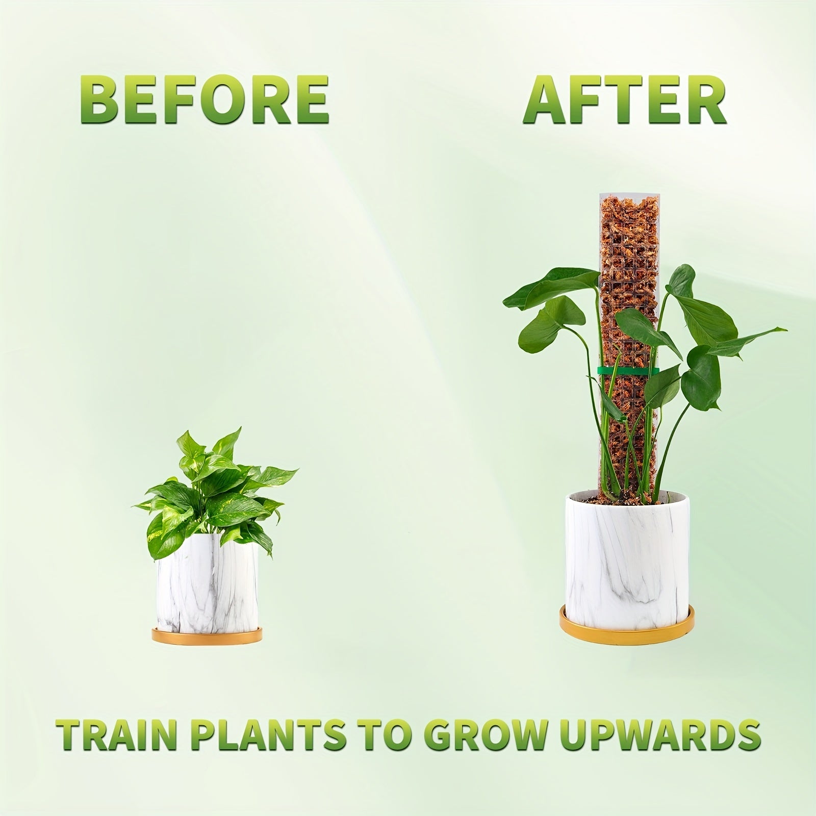 6 Pack Plant Climbing Frame 38.1 cm with Water Moss Column Indoor Support Rack