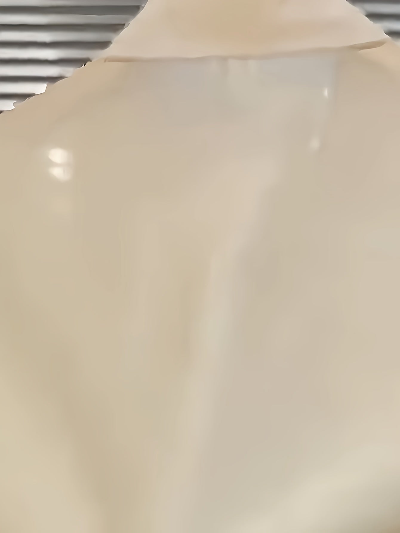 Women's Sheer Long Sleeve Button Shirt Spring Fall Solid Polyester Casual