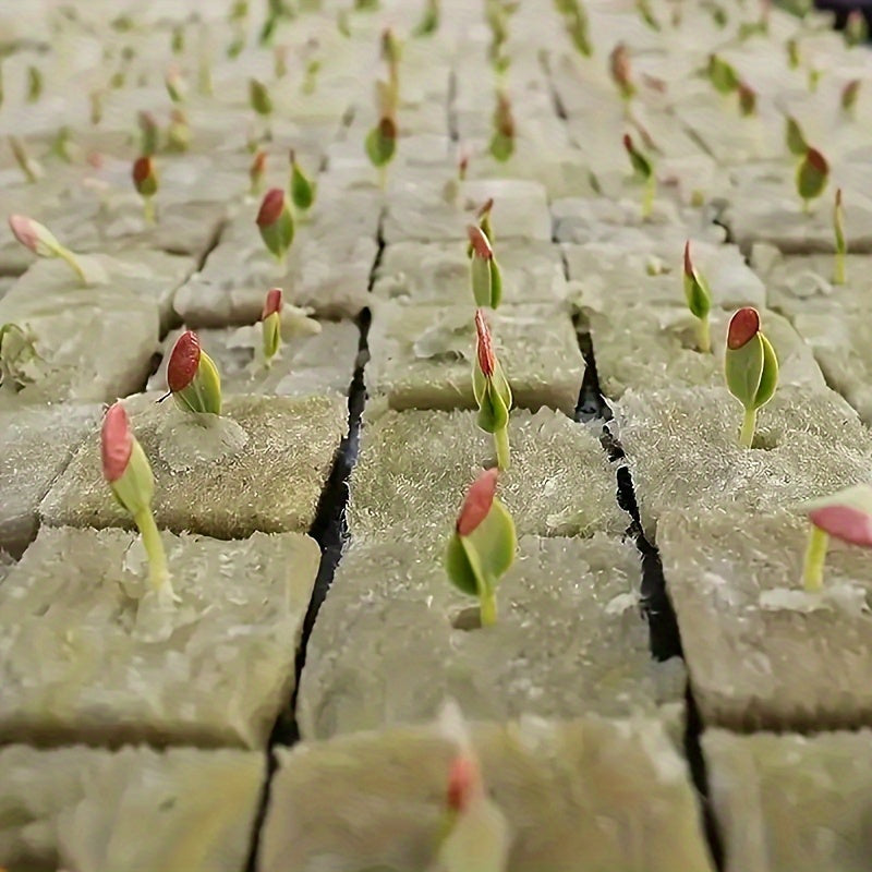 100 O'simlik ekish kubiklari qishloq xo'jaligi bog'lari maydonlari suv ombori uchun, tuproqsiz etishtirish