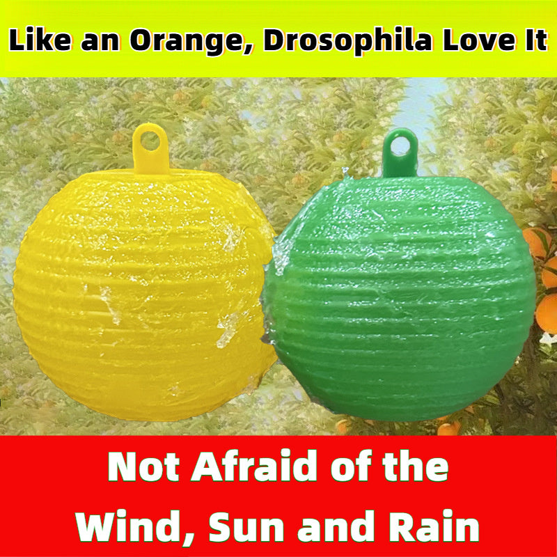 12-Pack Mosquito Trap Balls Non-Toxic Adhesive Fly Catcher Indoor Outdoor Use