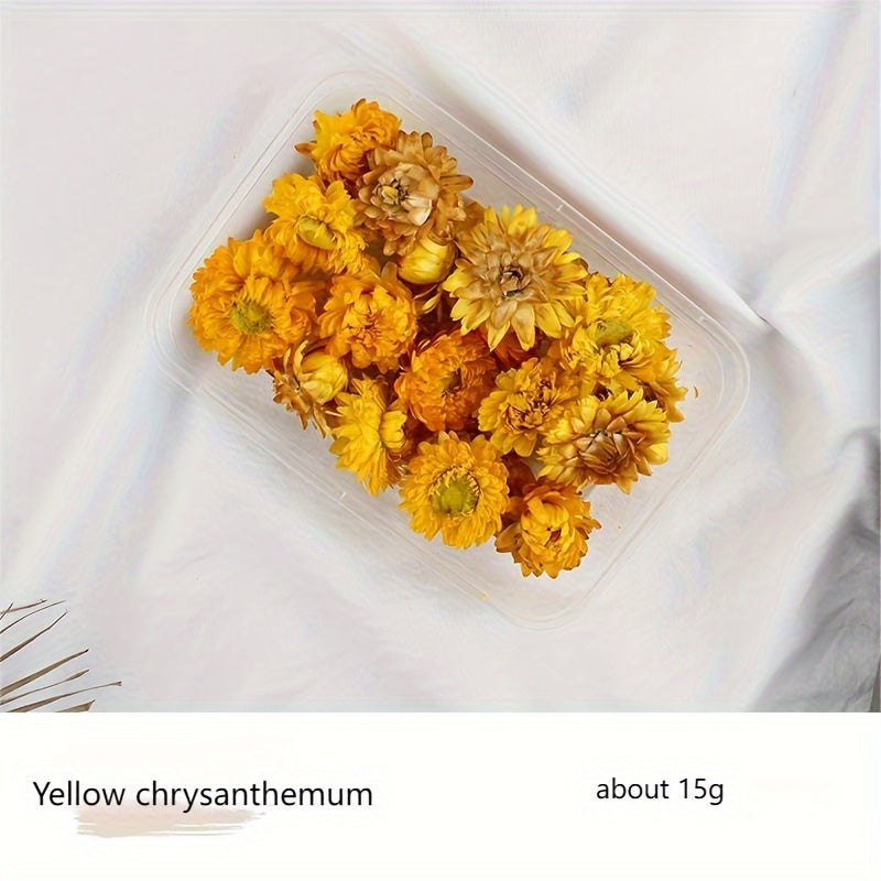 Бохо-Шик Рождественский Набор для Ремесел: Натуральный Растительный Декор для DIY Проектов, Венков и Подарков