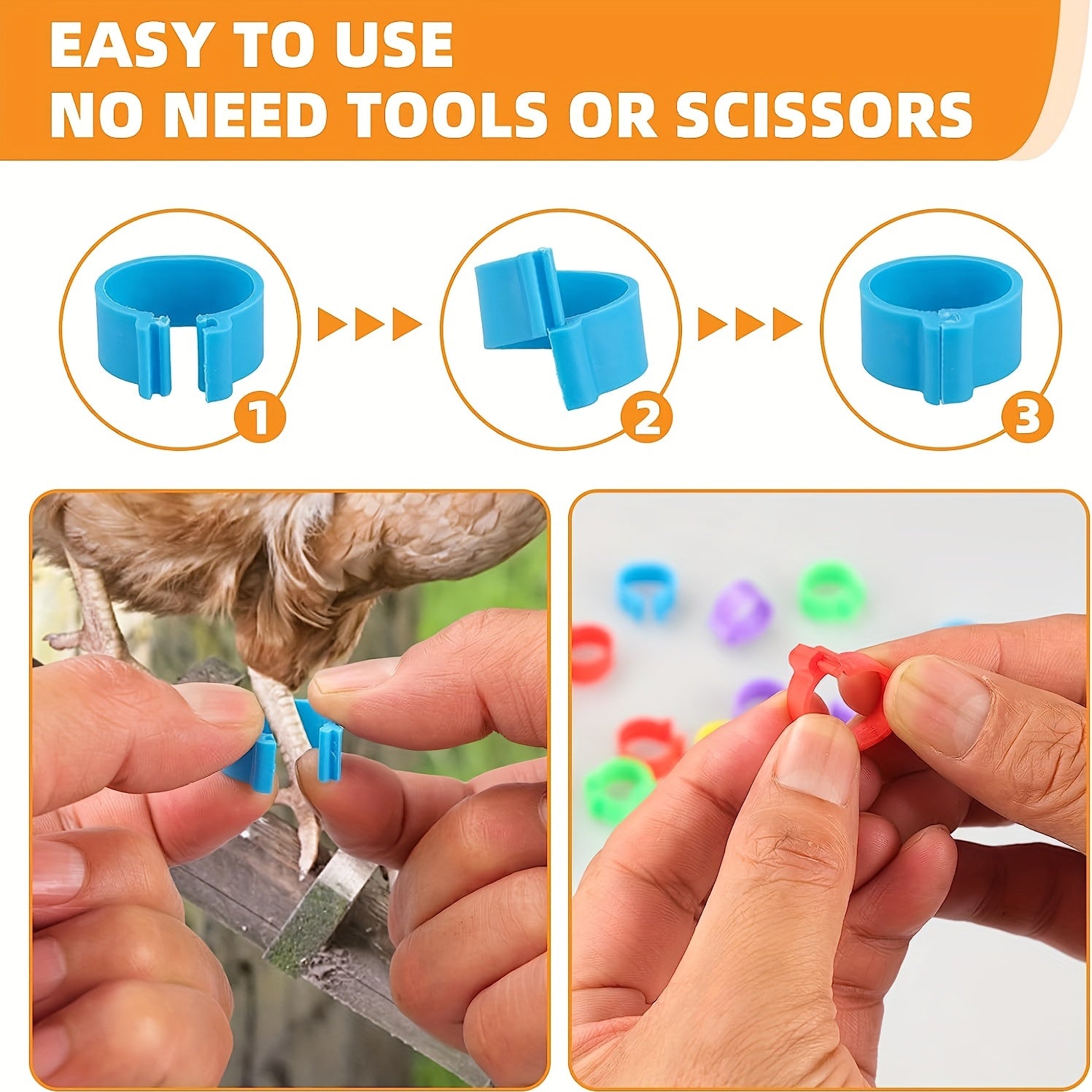 Pack of 100 Colorful Numbered Plastic Poultry Leg Bands for Identification 16mm