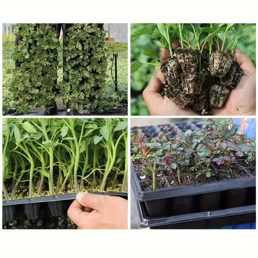 10-Pack Boho Style Seedling Trays with Drainage Holes for Garden and Balcony Planting