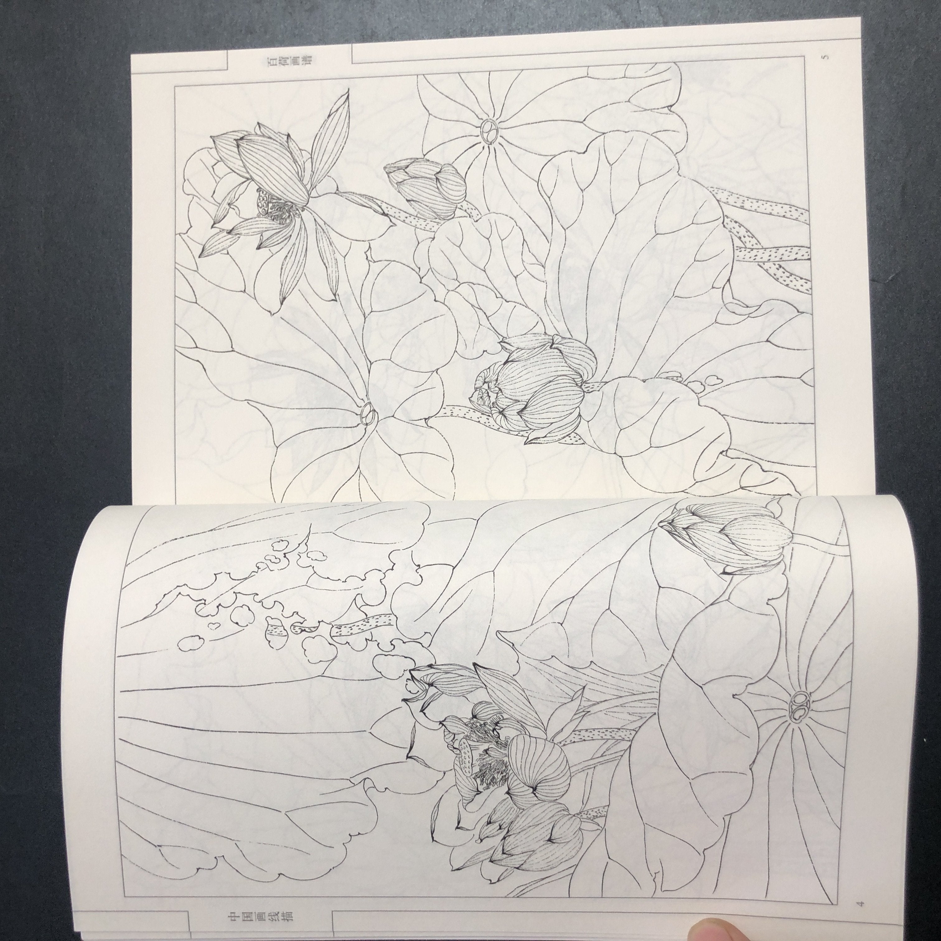 Chinese Traditional Art Painting Manual Paperback Chinese Language