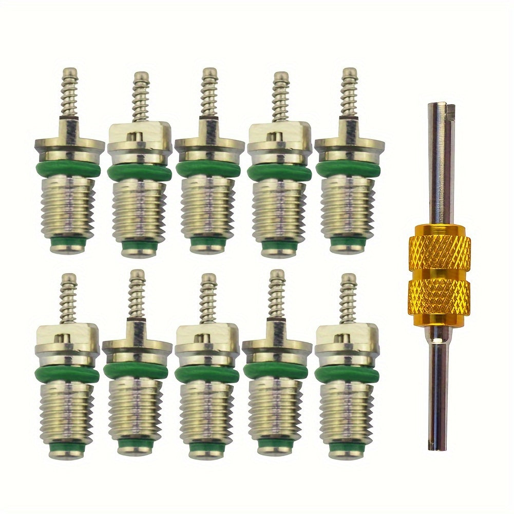 Automotive Air Conditioner Maintenance Kit with 10 Brass Green Valve Cores