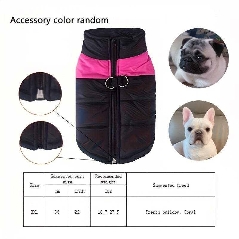 Windproof Winter Dog Jacket for Medium Breeds Polyester Zippered Warm Outdoor Apparel