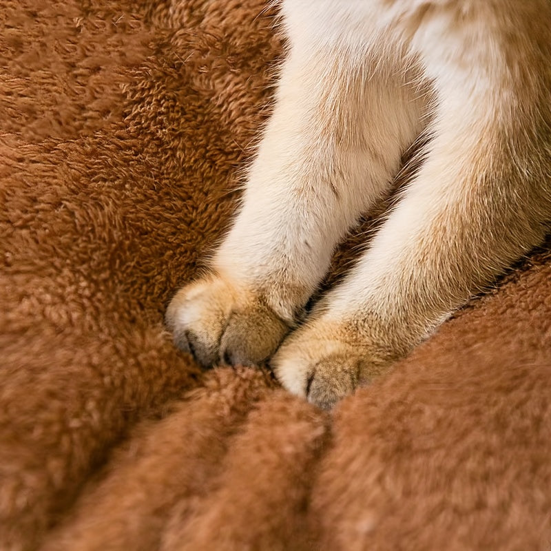 Detachable Brown Bear Style Dog House Polyester for Small Dogs All Year Comfort