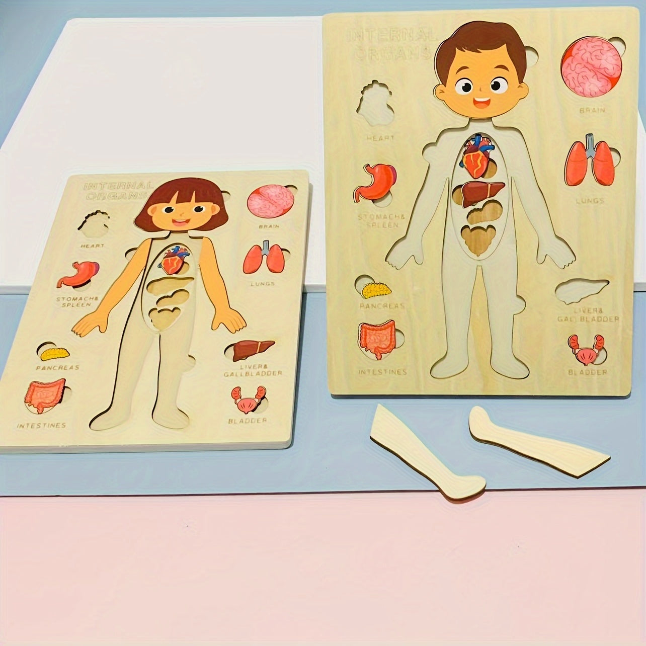 Образование детей через интерактивные деревянные пазлы: содействие обучению, когнитивному развитию, пониманию человеческой анатомии и укреплению связей между родителями и детьми с игрушками для мам и малышей.