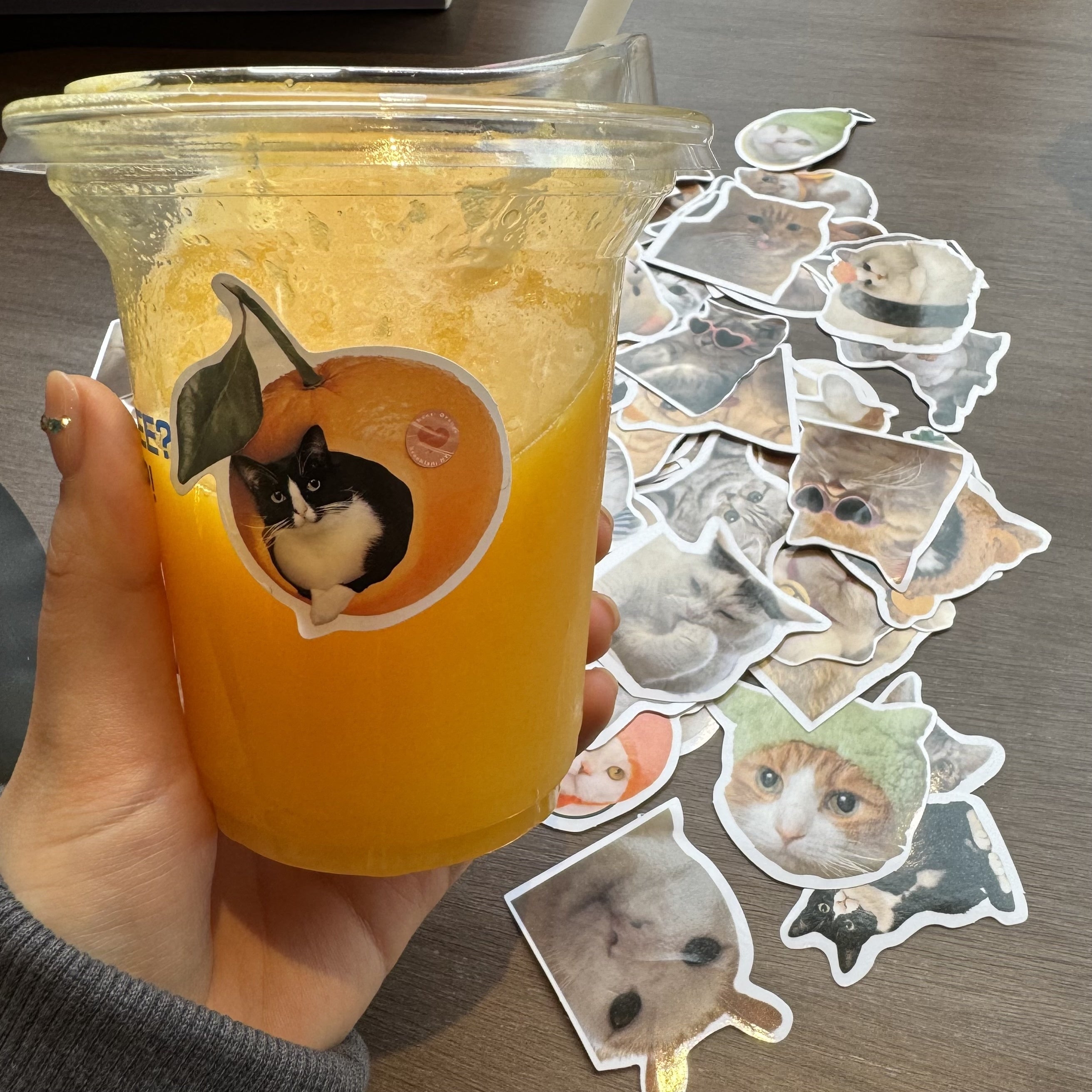 100 қўзғолон мураккаб мурувватли қўлёзмалар, ялтирайдиган, ўз-ўзини қўллаш учун, багаж, ноутбук, гитара, сув идиши учун