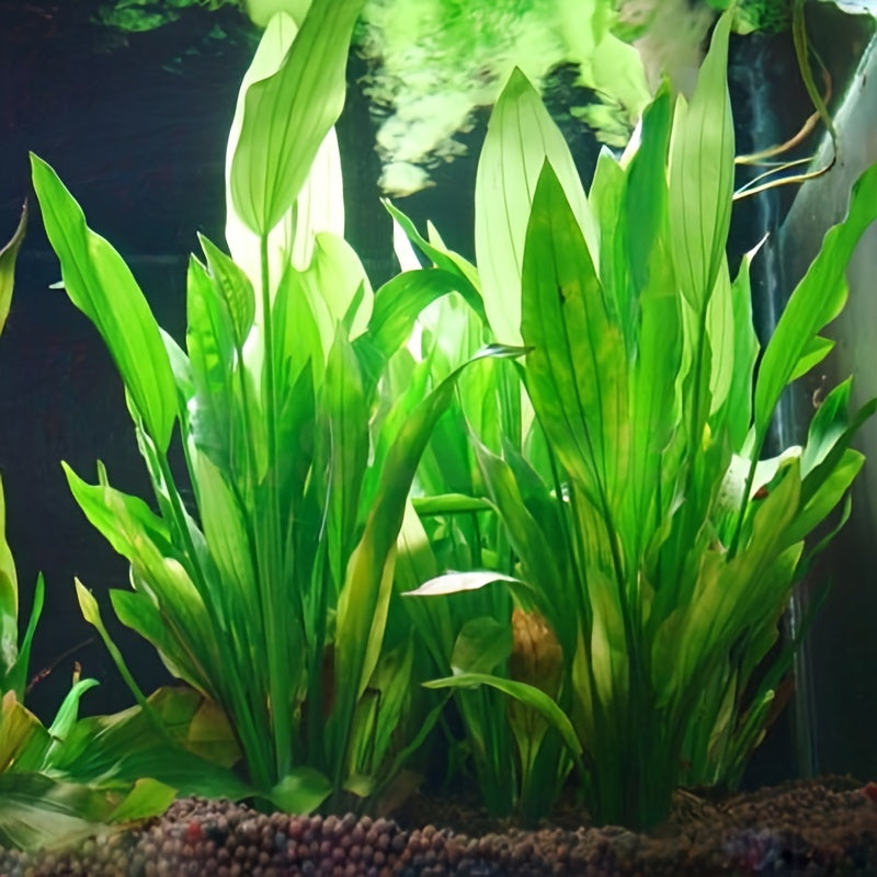 Plastic Aquarium Plant Grass 15cm Green Fish Tank Decor