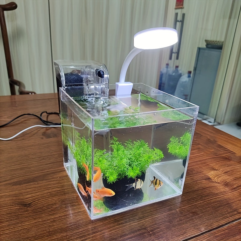Small Acrylic Fish Tank with USB Power and Filtration for Indoor Decoration