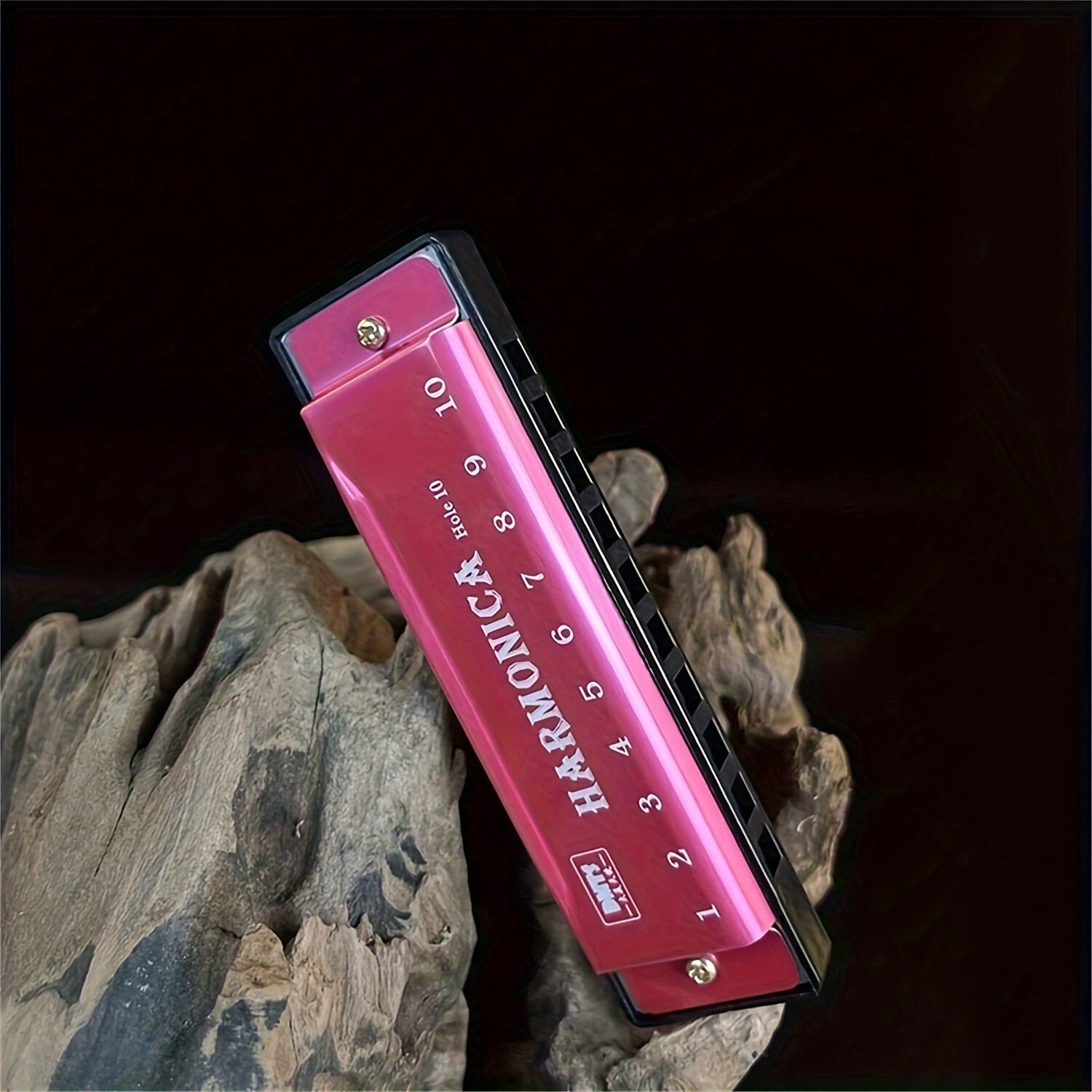 10-Hole Chromatic Harmonica in C Key Plastic Polished Finish with Protective Case for Beginners