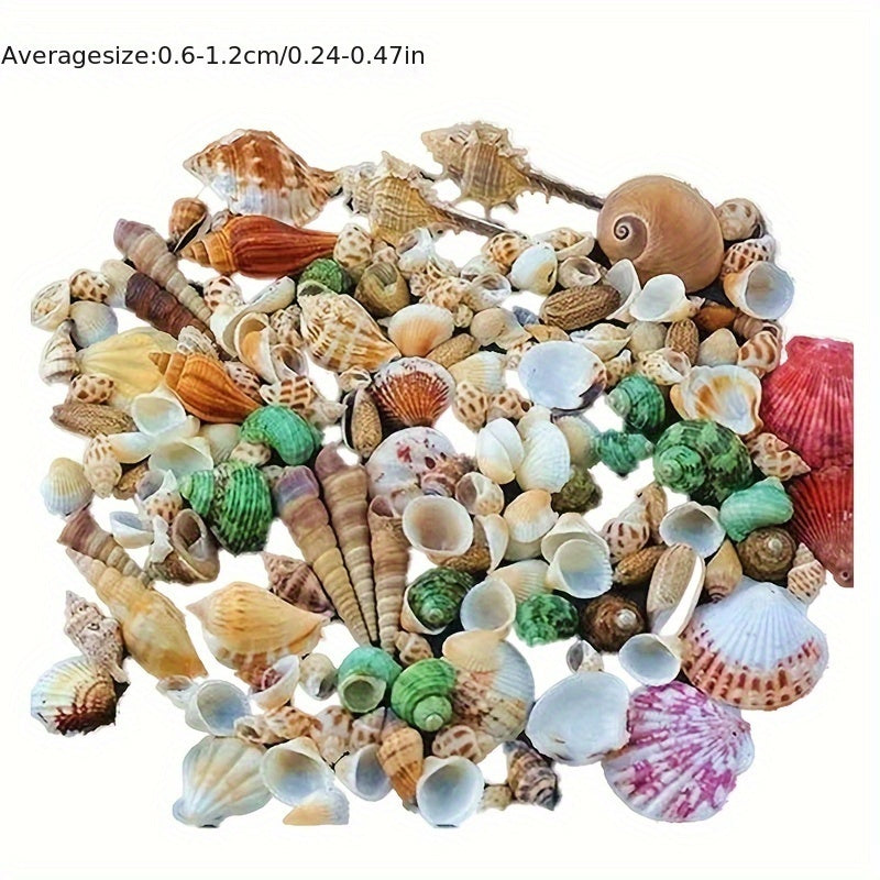 Assorted Sizes 0.6cm-1.2cm Natural Conch Shells for Aquarium Fish Tank Decorations 100/300/600 Pieces