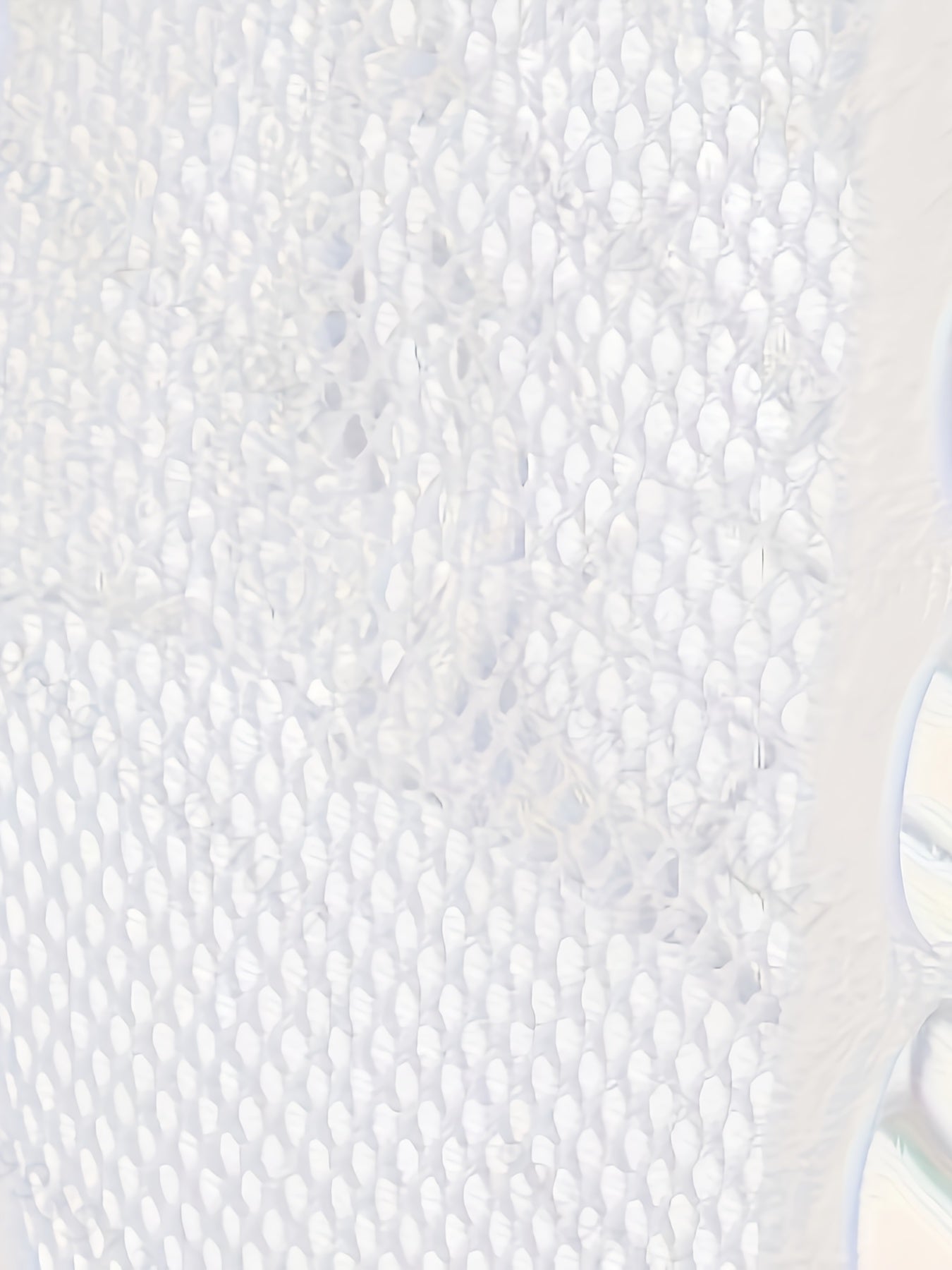 Women's Lace-Up Halter Neck Bodysuit with Mesh Details Lingerie